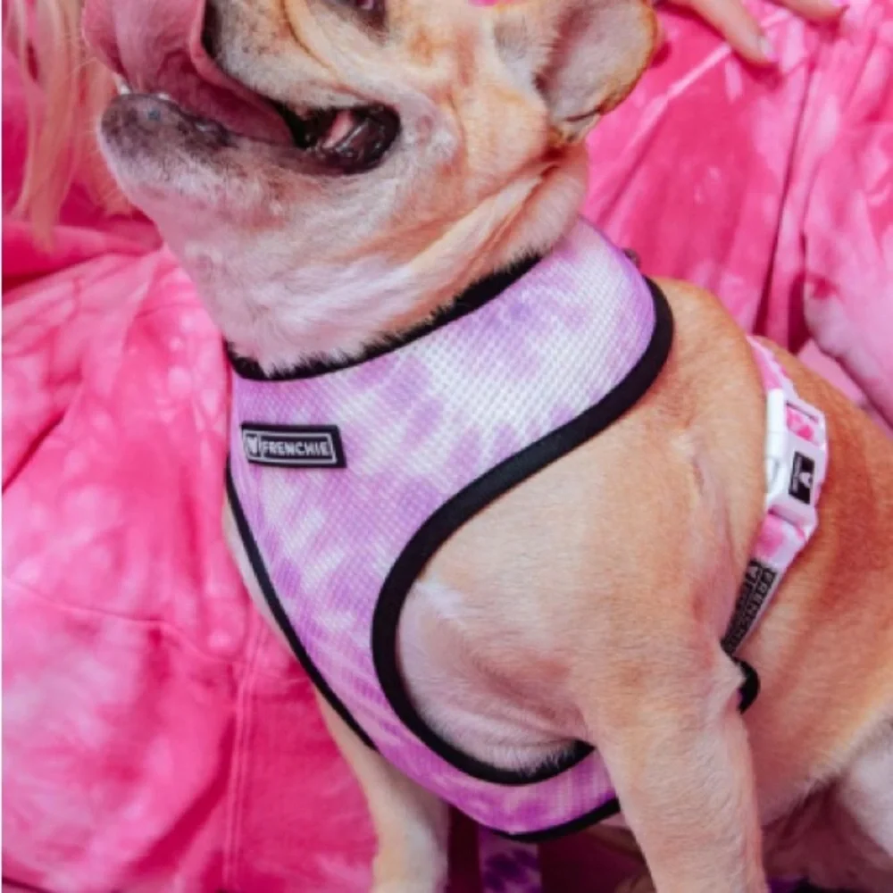NEW XL FRENCHIE BULLDOG reversable harness in pink!